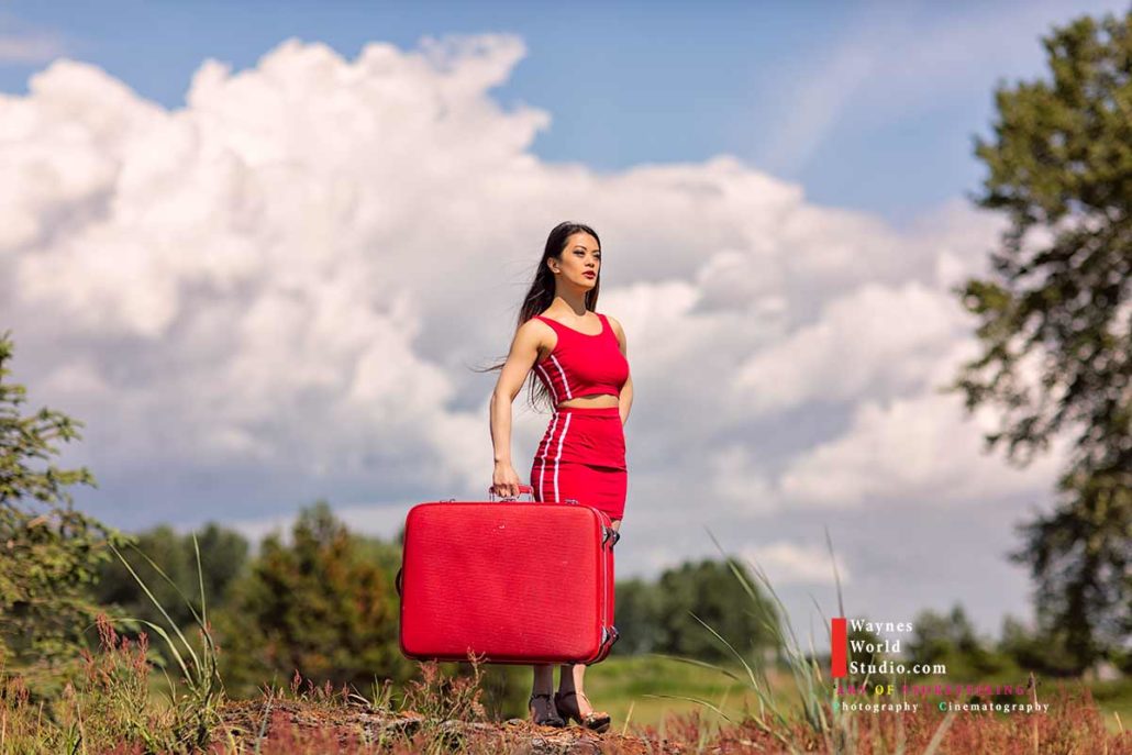 The Red Luggage Diary a True Story